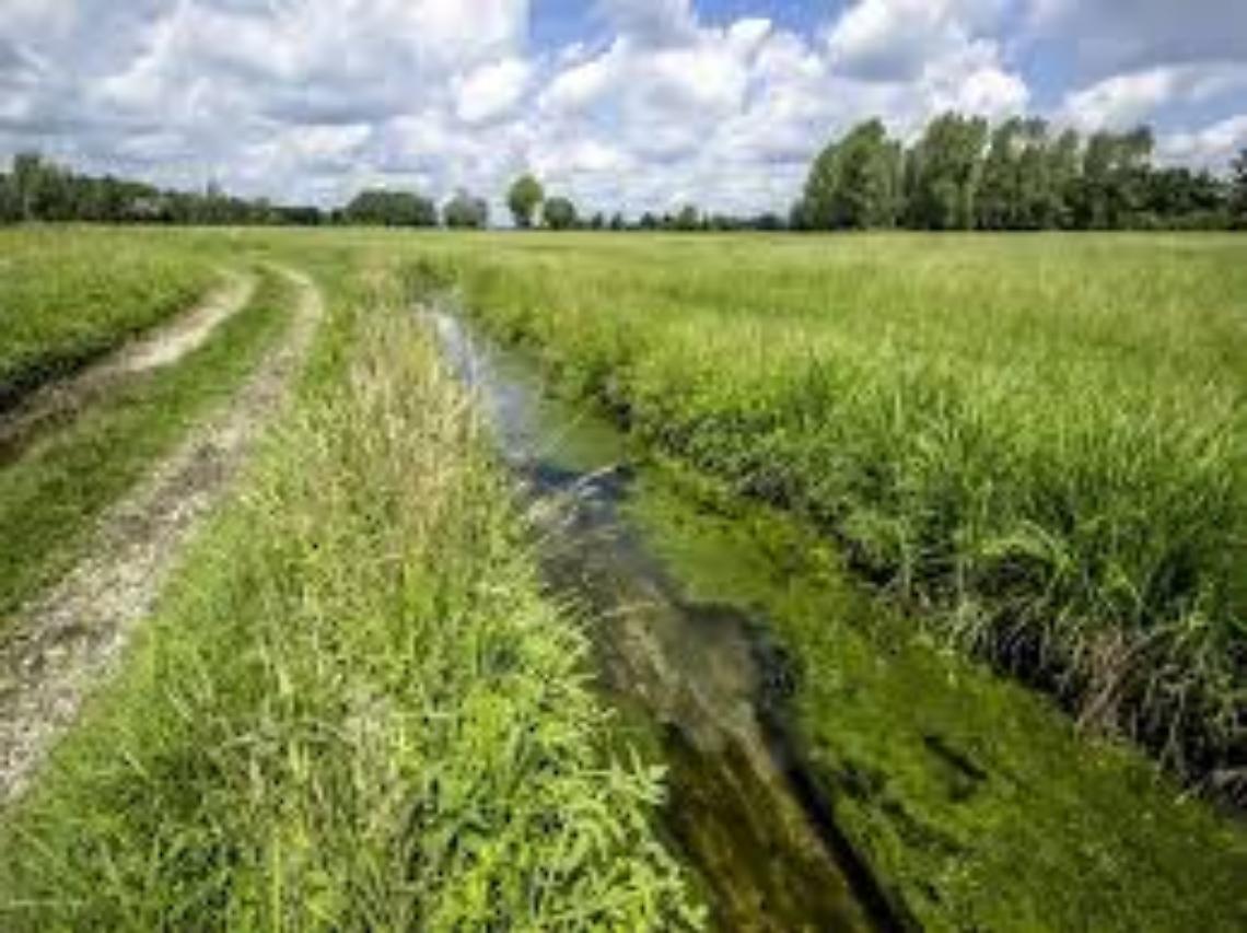 SRD04: INVESTIMENTI NON PRODUTTIVI AGRICOLI CON FINALITA’ AMBIENTALE
