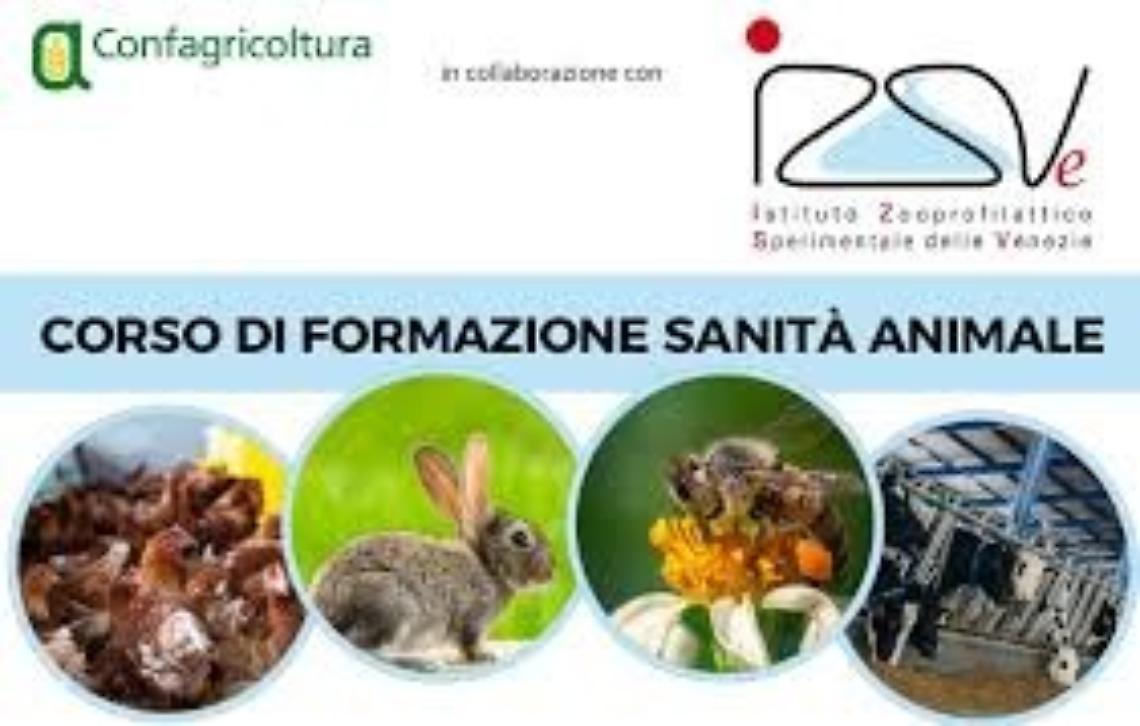 FORMAZIONE OBBLIGATORIA IN MATERIA DI SANITA' E BENESSERE ANIMALE
