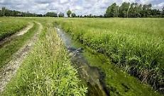 SRD04: INVESTIMENTI NON PRODUTTIVI AGRICOLI CON FINALITA’ AMBIENTALE