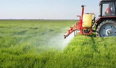 Glifosate: il quantitativo annuale massimo ridotto a 4 l/ha