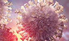 focolai di afta epizootica