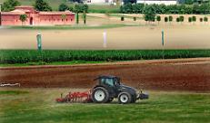 Primo semestre 2025: l’agricoltura lombarda cresce grazie a export e lattiero-caseario