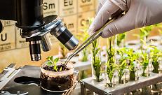 Nuove Tecniche Genomiche, Confagricoltura Lombardia accoglie con favore il voto della Commissione Ambiente