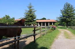 AZIENDA AGRICOLA RAZZA TICINO DI MOGLIA ANDREA