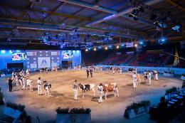 Dal 27 al 29 novembre si terrà l’80^ edizione delle Rassegne zootecniche internazionali di Cremona