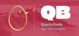 QB SAS 
