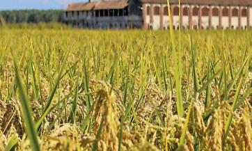 Intervento SRD01 – Investimenti produttivi agricoli per la competitività delle aziende agricole