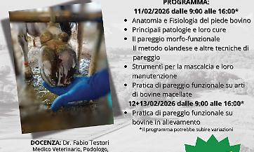 CORSO DI MASCALCIA BOVINA