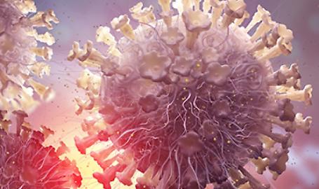 focolai di afta epizootica