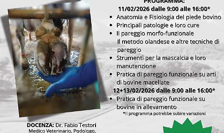 CORSO DI MASCALCIA BOVINA