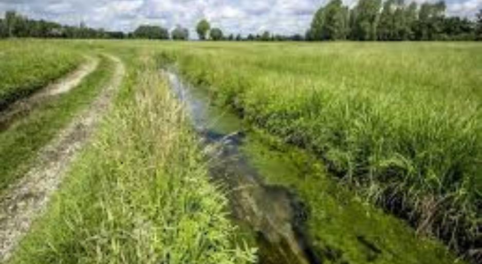 SRD04: INVESTIMENTI NON PRODUTTIVI AGRICOLI CON FINALITA’ AMBIENTALE